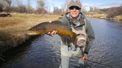 mayfly fly fishing guides park city