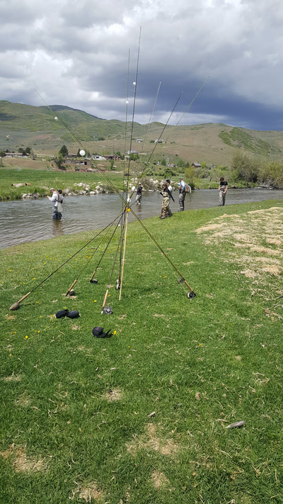weber river fly fishing