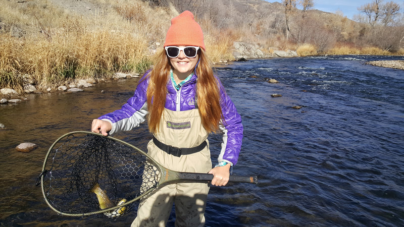 Middle provo brown trout