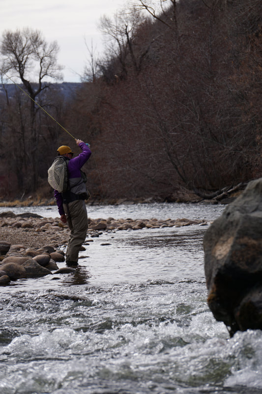 provo river fly fishing guides