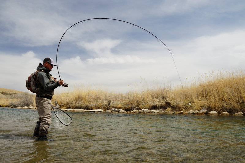 Park city fly fishing guides