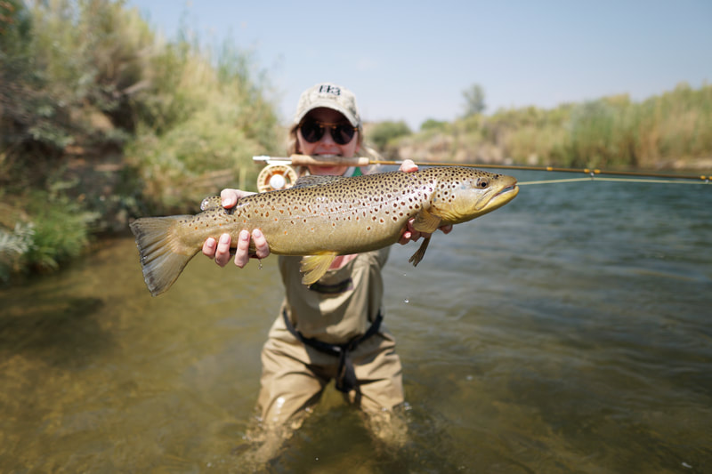 Park City fly fishing guides